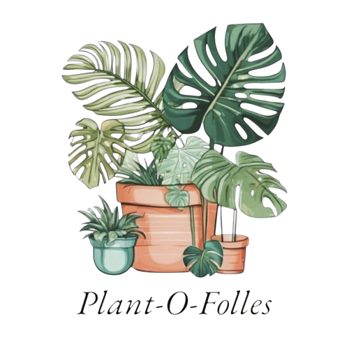 Plant-O-Folles