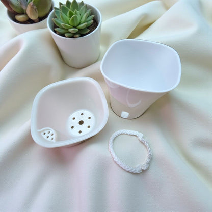Self - Watering White Planter, Perfect dimensions for small indoor plants - Plant - O - Folles